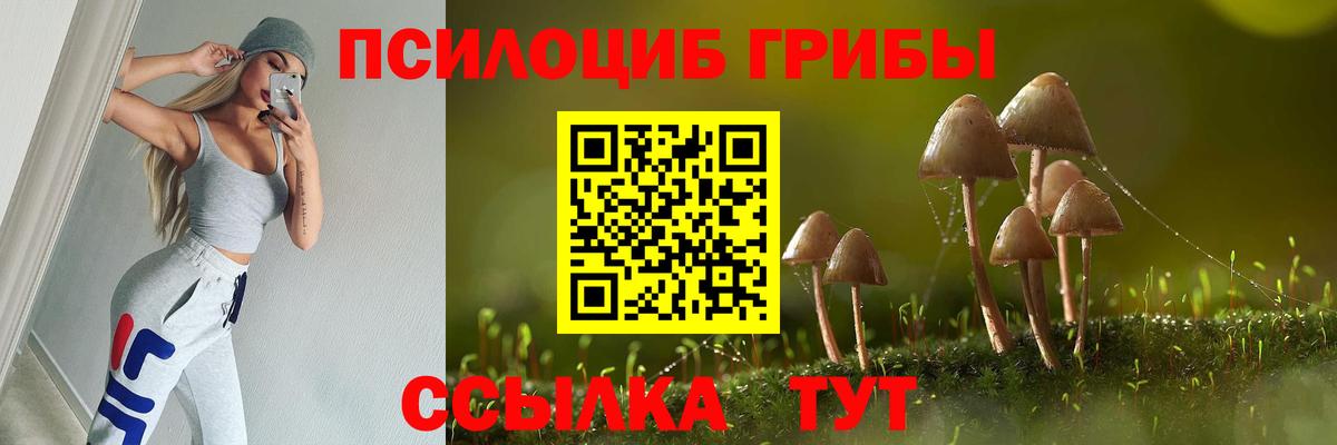 Грязи  Псилоцибиновые грибы прущие грибы  даркнет сайт  Вход с VPN 